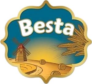 Besta - לוגו סימן מסחר רשום