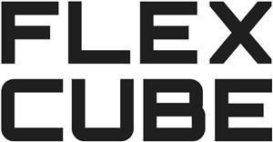 FLEX CUBE - לוגו סימן מסחר רשום