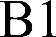 B1 - לוגו סימן מסחר