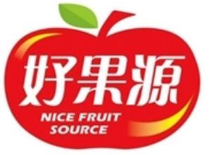 NICE FRUIT SOURCE - לוגו סימן מסחר