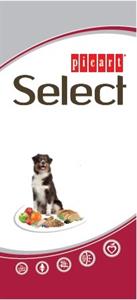 picart Select - לוגו סימן מסחר רשום