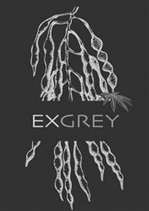 EXGREY - לוגו סימן מסחר רשום