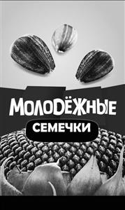МОЛОДЕЖНЫЕ СЕМЕЧКИ - לוגו סימן מסחר רשום