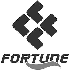 FF FORTUNE - לוגו סימן מסחר רשום