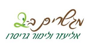 מגשרים ב-2 אליעזר ולימור גריסרו - לוגו סימן מסחר רשום