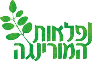 נפלאות המורינגה - לוגו סימן מסחר