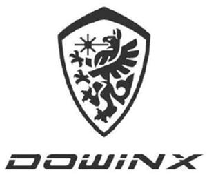 DOWINX - לוגו סימן מסחר רשום