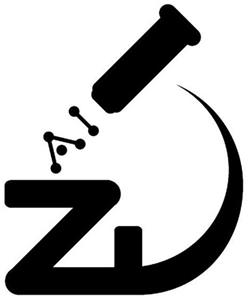 Z AI - לוגו סימן מסחר רשום