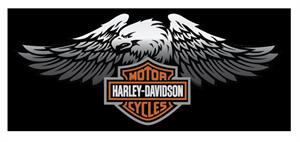MOTOR HARLEY-DAVIDSON CYCLES - לוגו סימן מסחר רשום