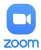 ZOOM - לוגו סימן מסחר רשום
