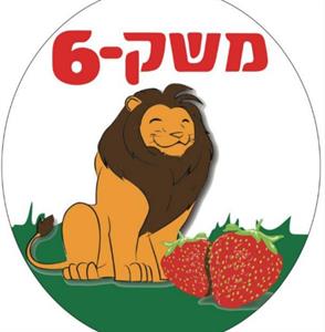 משק -6 - לוגו סימן מסחר רשום