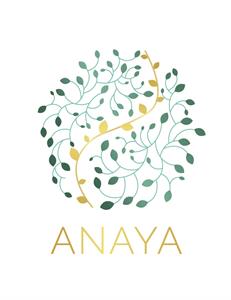 ANAYA - לוגו סימן מסחר רשום