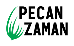 PECAN ZAMAN - לוגו סימן מסחר רשום