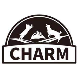 CHARM - לוגו סימן מסחר רשום