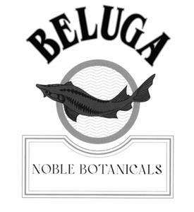 BELUGA NOBLE BOTANICALS - לוגו סימן מסחר רשום