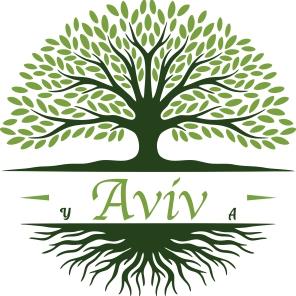 y Aviv A - לוגו סימן מסחר