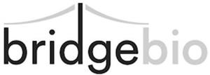 bridgebio - לוגו סימן מסחר רשום