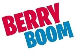 BERRY BOOM - לוגו סימן מסחר רשום