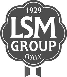 1929 LSM GROUP ITALY - לוגו סימן מסחר