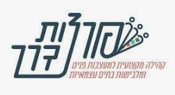 פורצות דרך קהילה מקצועית למעצבות פנים ומלבישות בתים עצמאיות - לוגו סימן מסחר רשום