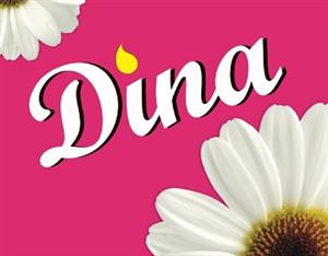 Dina - לוגו סימן מסחר רשום