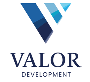 VALOR DEVELOPMENT - לוגו סימן מסחר רשום