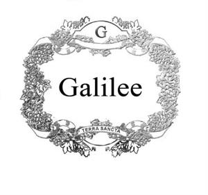 Galilee Terra Sancta G - לוגו סימן מסחר