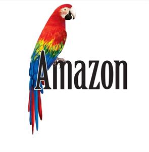 Amazon - לוגו סימן מסחר