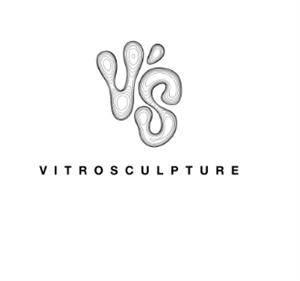 VITROSCULPTURE V'S - לוגו סימן מסחר רשום