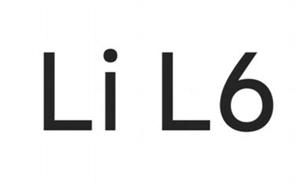 Li L6 - לוגו סימן מסחר רשום