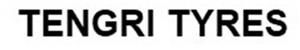 TENGRI TYRES - לוגו סימן מסחר רשום