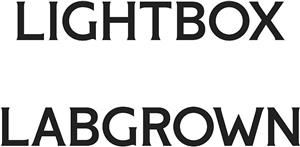LIGHTBOX LABGROWN - לוגו סימן מסחר רשום