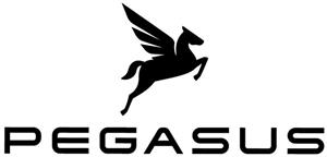 PEGASUS - לוגו סימן מסחר רשום