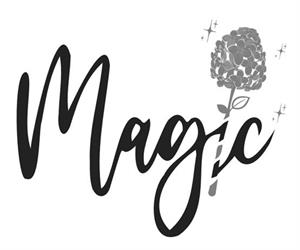 Magic - לוגו סימן מסחר