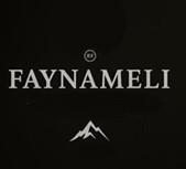 FAYNAMELI LA VETTA PIU ALTA RF - לוגו סימן מסחר