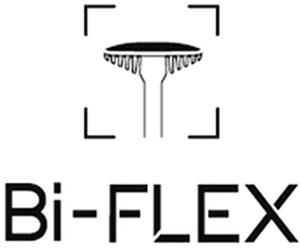Bi-FLEX - לוגו סימן מסחר