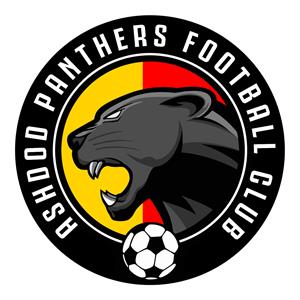 ASHDOD PANTHERS FOOTBALL CLUB - לוגו סימן מסחר