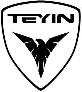 TEYIN - לוגו סימן מסחר רשום