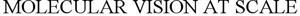 MOLECULAR VISION AT SCALE - לוגו סימן מסחר