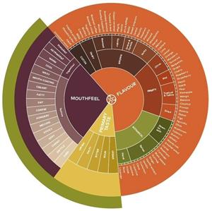 MOUTHFEEL FLAVOUR PRIMARY TASTE - לוגו סימן מסחר