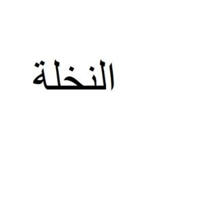النخلة - לוגו סימן מסחר