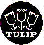 TULIP - לוגו סימן מסחר