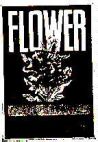 FLOWER - לוגו סימן מסחר