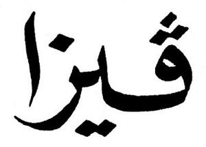 فيزا - לוגו סימן מסחר רשום