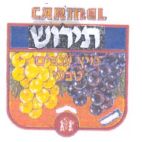 תירוש - לוגו סימן מסחר