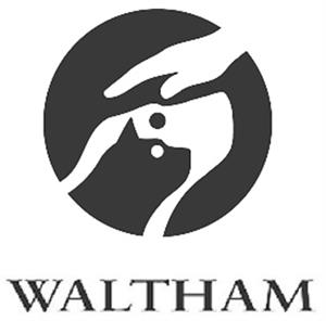 WALTHAM - לוגו סימן מסחר רשום
