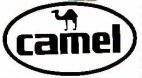 camel - לוגו סימן מסחר