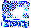 בנסול - לוגו סימן מסחר