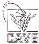 CAVS - לוגו סימן מסחר