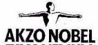 AKZO NOBEL - לוגו סימן מסחר
